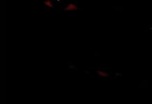 Foggieraw & Larry June – Disrespectfully Decline | Summer Vibe