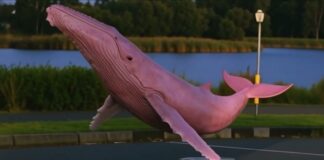 Jayda G – Uncomfortable: Redefining Motherhood & Club Culture