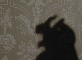 Florence Road – Rabbits Can Swim | Single Review & Meaning