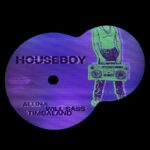 Aluna “Houseboy” Review: A New Era of Genre-Blurring Pop