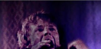 Pond – Terrestrials: New Single Review & Band History