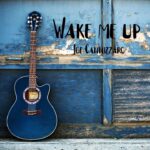 Joe Cannizzaro “Down In The Mississippi” Review: Authentic Delta Blues-Rock