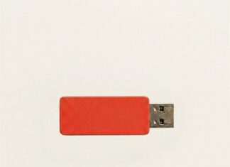 H.LLS “Y PREE” Review: A Moody New Alt-Pop Vibe