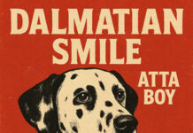 Dalmatian Smile – Late Night Television | New Single Review