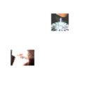 A Good Year – Back of a Car | New Single Review & Analysis