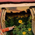 Kevin Morby “Badlands” Review: Finding Music in the Midwest