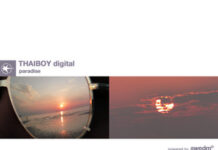 Thaiboy Digital ‘Destiny’ Review | From Tiger to Pop Evolution