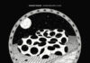 Modest Mouse Third Side of the Moon Review & Album Details