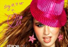 Eli Fk the DJ: The Ultimate Summer Pop Anthem Review