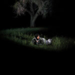 Leyla Ebrahimi – i’m a little flower | Planet You Forgot Me Review