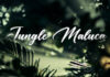 Soulcare: Discover the Jazz-Pop Magic of ‘Jungle Maluca’