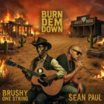 Sean Paul & Brushy One String – Burn Dem Down | Review