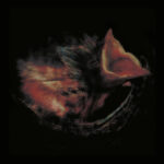 Gurriers βParty Linesβ: A Blistering New Anthem from Nobodyβs Coming To Save You