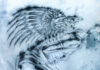Deb Fan’s “Angel(s)”: A Deep Dive into Her Newest Soundscape