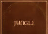 Jungle Sunshine Review: Inside the New Pop Single & Era