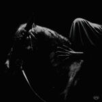 Cenobia β “Swallowed By The World” & Fearless Records Signing