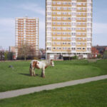 Westside Cowboy β Worried Age | Review & Stream