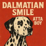 Dalmatian Smile – “That Leather Chair” Single Review | Atta Boy