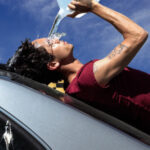 Dominic Fike “Wallflower” Review: Inside His New Album Era