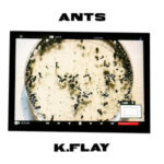 K.Flay New Single “Ants”: Meaning, Lyrics & Video Breakdown