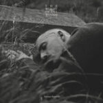 Dermot Kennedy Stockholm: Inside His New Pop Single & Album Era