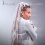 Shenseea Vulnerability Lyrics, Meaning & Review: Decoding Her Deepest Song