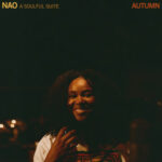 Nao – Fly Away Single Review: Story, Lyrics Meaning & Credits